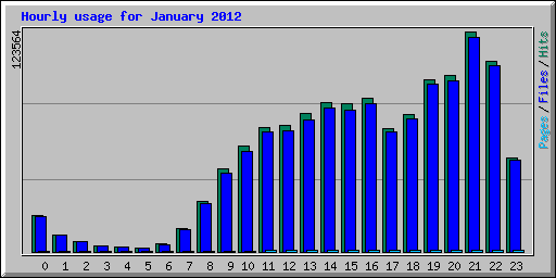 Hourly usage for January 2012