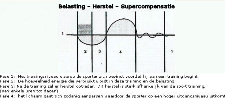 sport en training supercompensatie